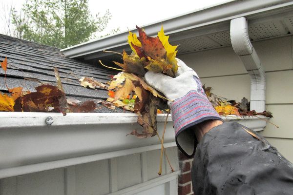 Eaves Cleaning in Round Rock